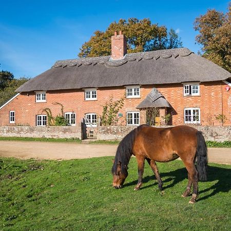 Thatched Cottage Brockenhurst Dış mekan fotoğraf