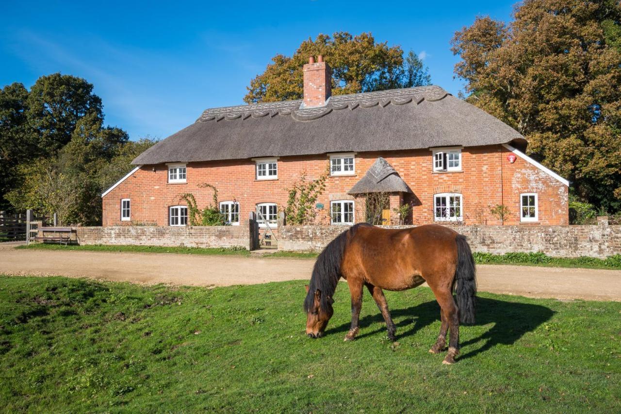 Thatched Cottage Brockenhurst Dış mekan fotoğraf