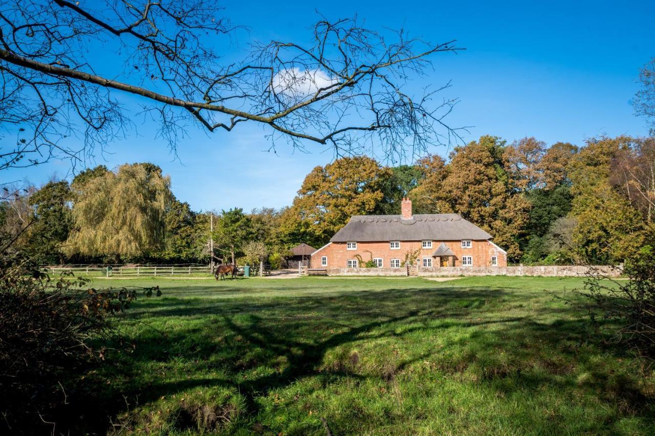 Thatched Cottage Brockenhurst Dış mekan fotoğraf
