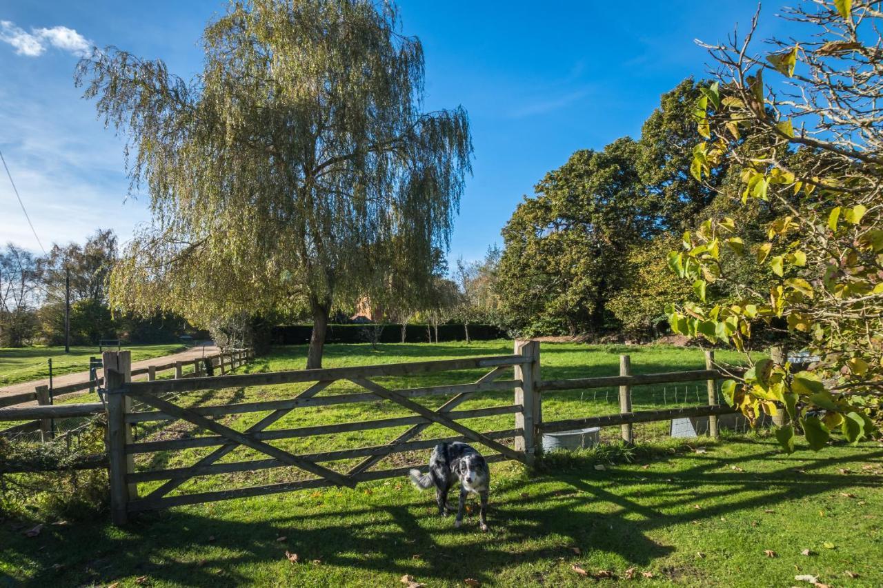 Thatched Cottage Brockenhurst Dış mekan fotoğraf